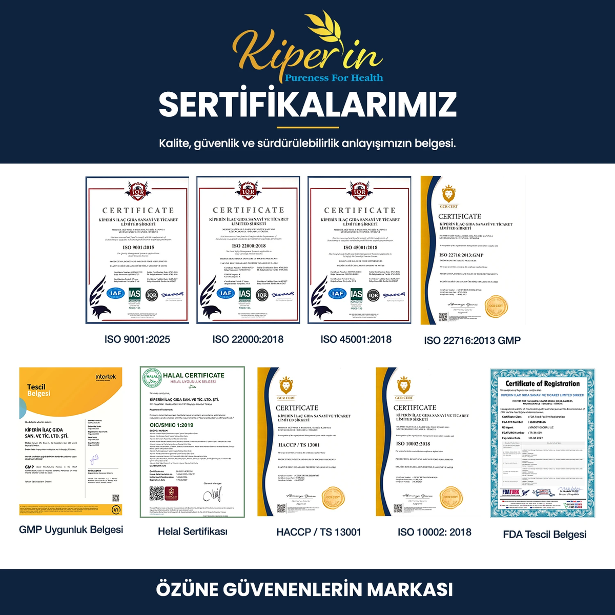 Kiperin Purple Collagen 576 g | Type 1, 2, 3, 5 & 10